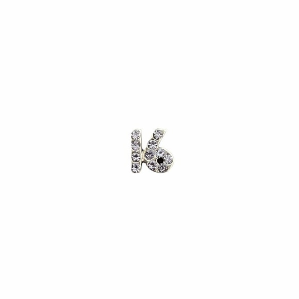 4/$10 Origami Owl Sweet 16 Charm